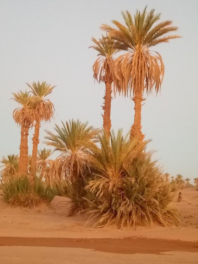 Sahara Peace Camp Hotel Zagora Luaran gambar