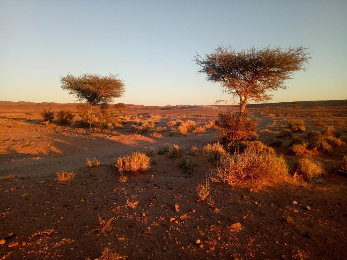 Sahara Peace Camp Hotel Zagora Luaran gambar