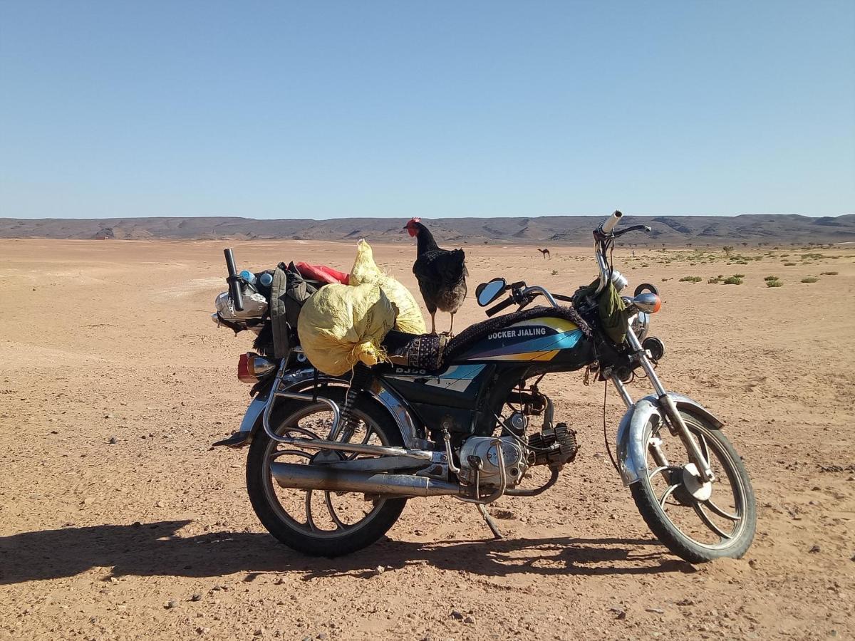 Sahara Peace Camp Hotel Zagora Luaran gambar