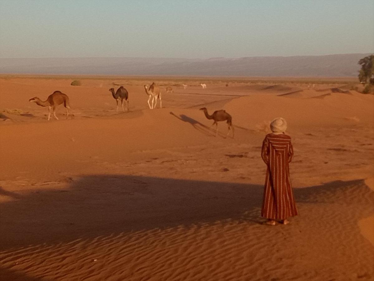 Sahara Peace Camp Hotel Zagora Luaran gambar
