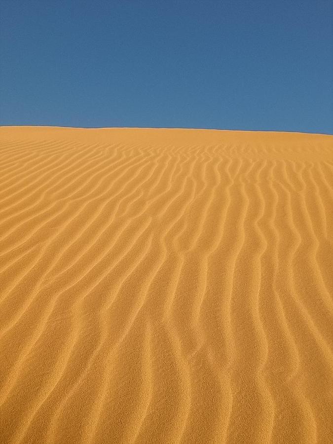 Sahara Peace Camp Hotel Zagora Luaran gambar