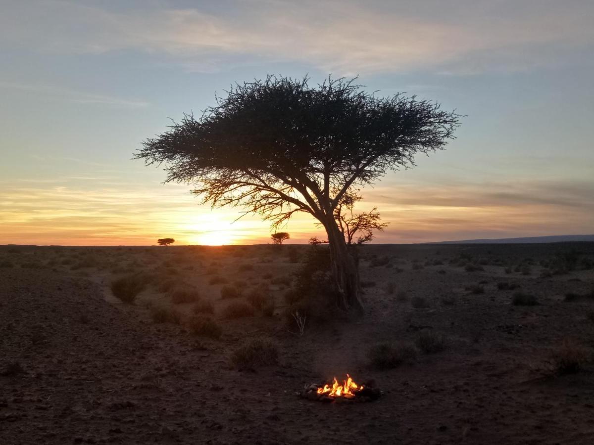 Sahara Peace Camp Hotel Zagora Luaran gambar