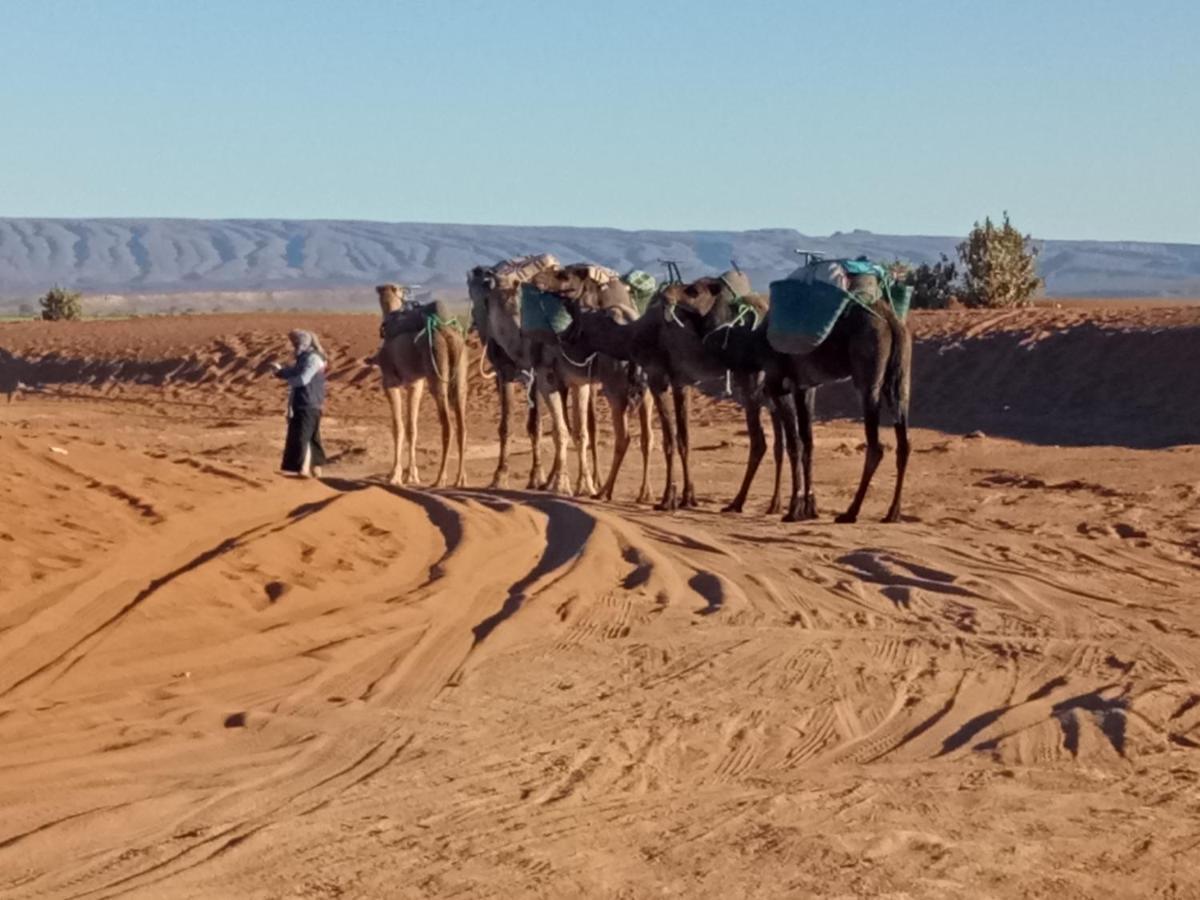 Sahara Peace Camp Hotel Zagora Luaran gambar