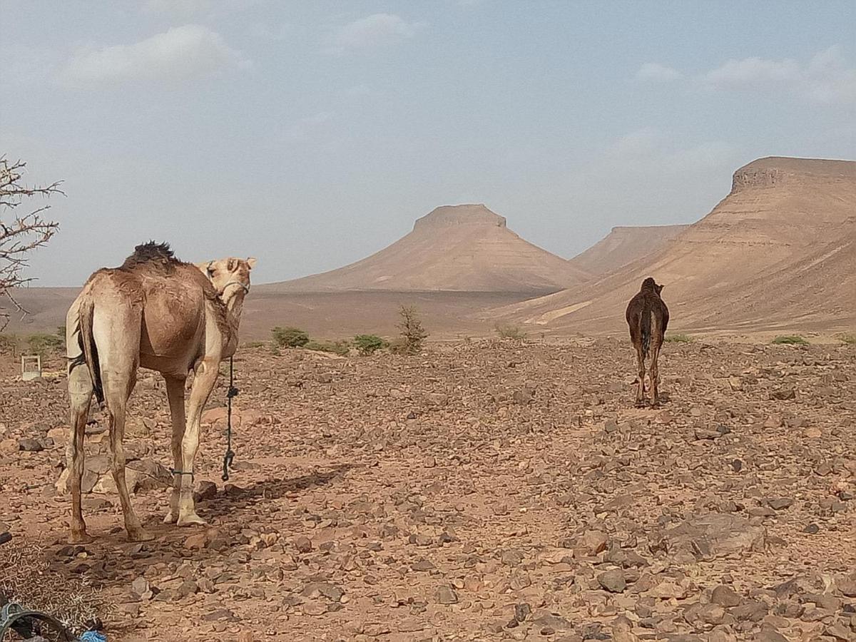 Sahara Peace Camp Hotel Zagora Luaran gambar