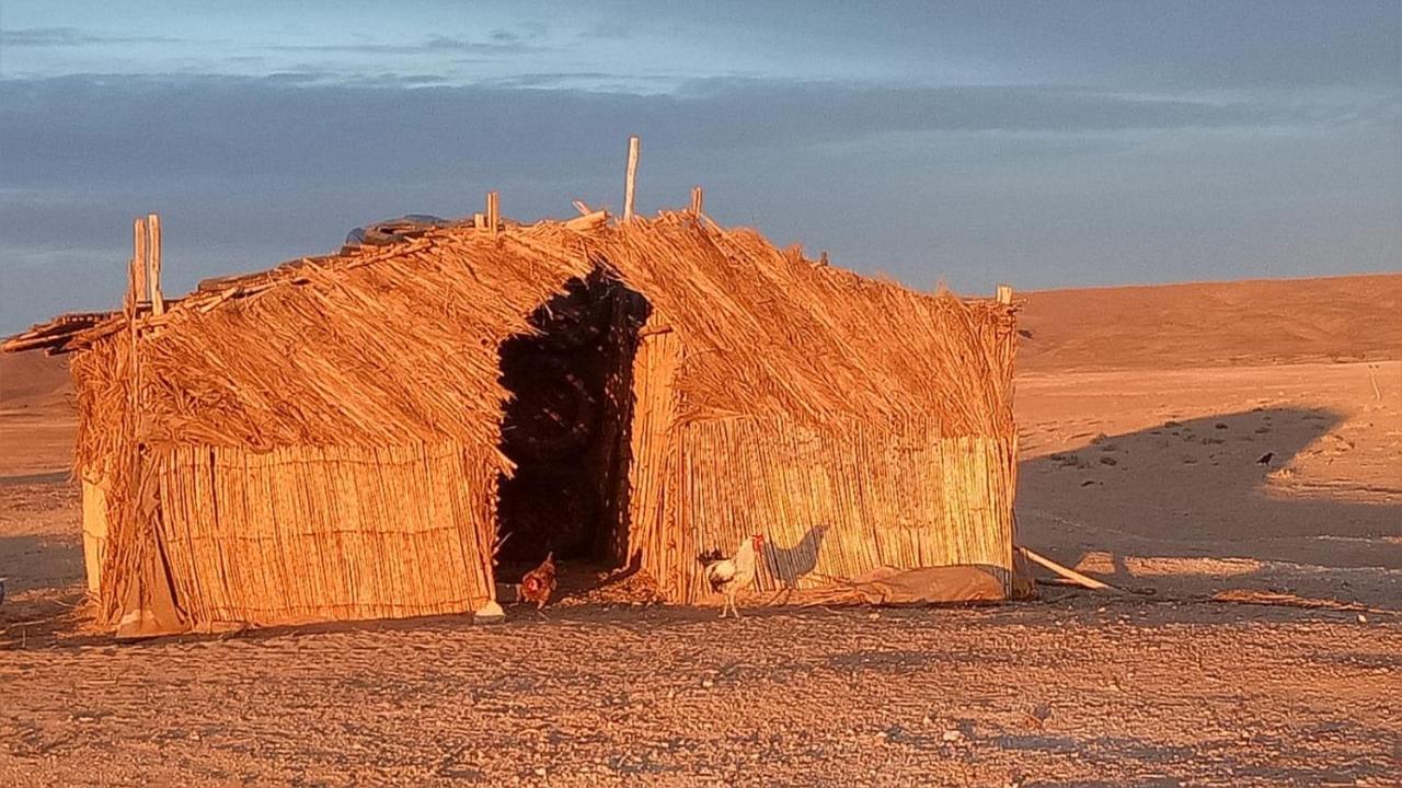 Sahara Peace Camp Hotel Zagora Luaran gambar