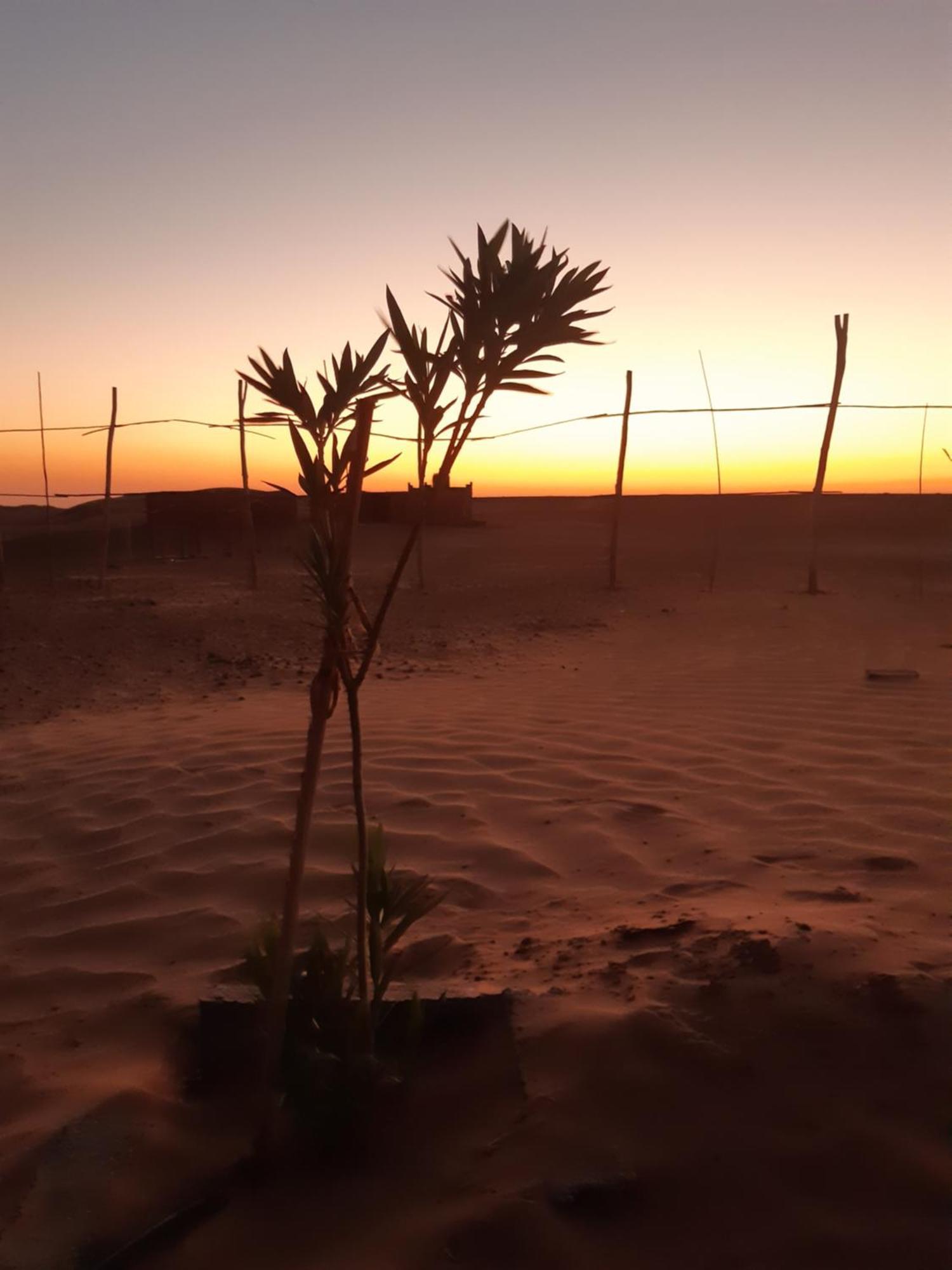 Sahara Peace Camp Hotel Zagora Luaran gambar